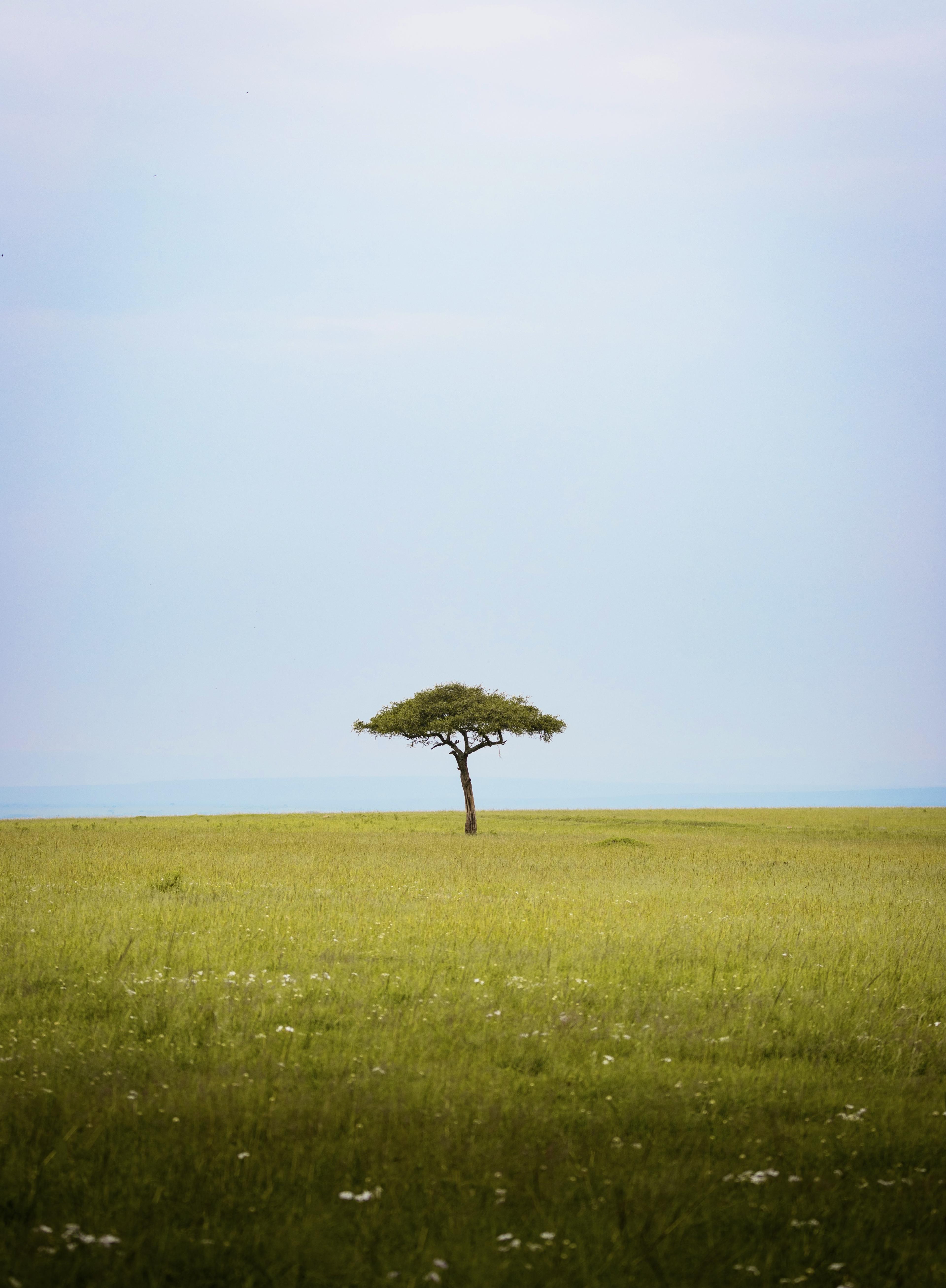 Open spaces